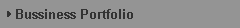Business Portfolio