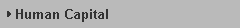 Human Capital